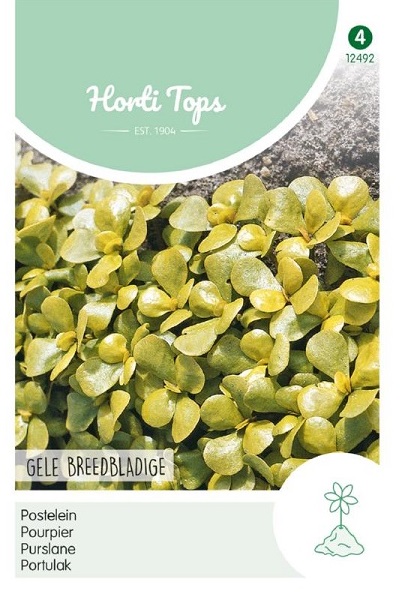 Portulak žltý veľkolistý Yellow Large Leaved cca 5 g