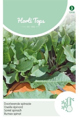 Štiavec špenátový, Rumex patientia, Sorrel Spinach cca. 0,5 g