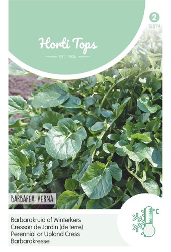 Barbarea verna cca. 3g