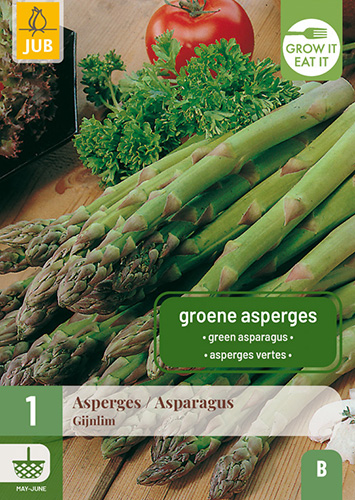 ŠPARGĽA ASPARAGUS GIJNLIM počet kusov: 1