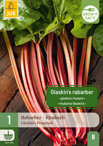 REBARBORA GLASKIN´S PERPETUAL počet kusov: 1