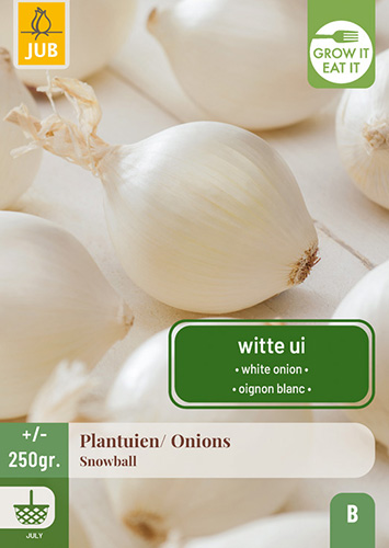 CIBUĽKA SADZAČKA SNOWBALL 250 g