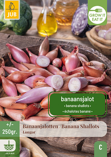 ŠALOTKA LONGOR 250g