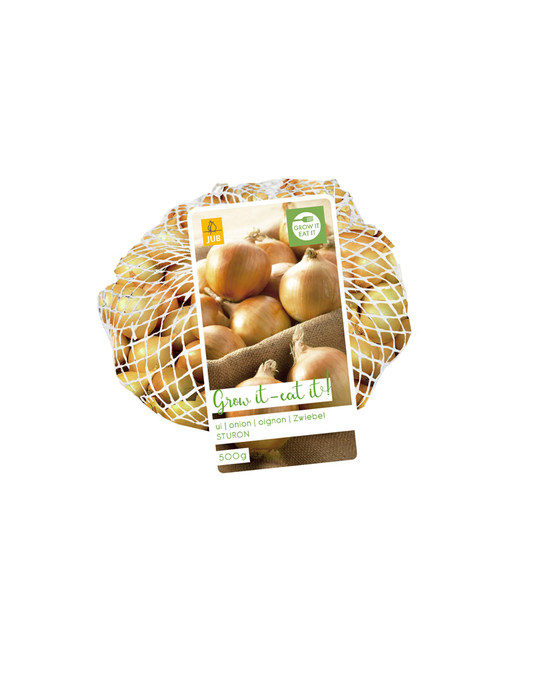 CIBUĽKA SADZAČKA STURON 500 g