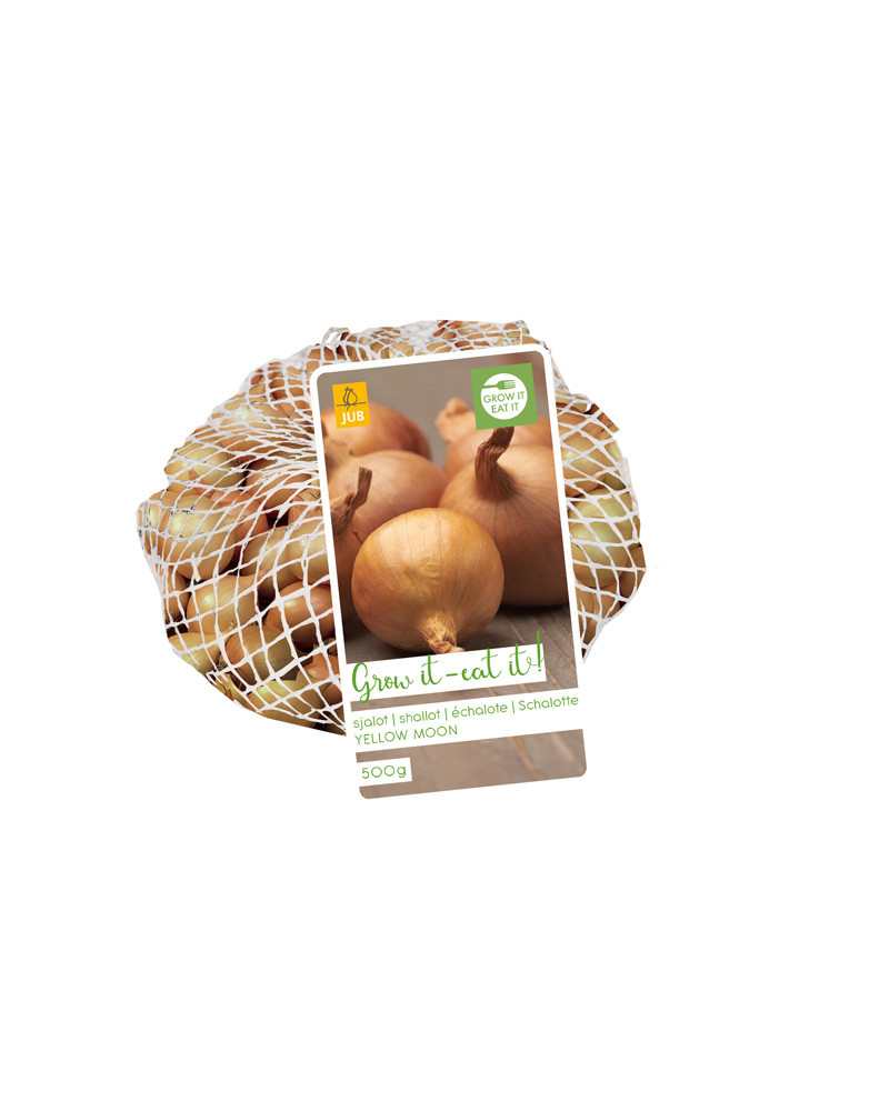 ŠALOTKA YELLOW MOON 500g