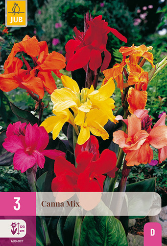CANNA (KANA) MIX - 3 ks