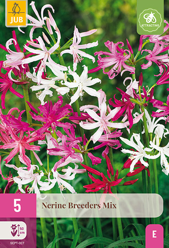 NERINE BREEDERS MIX - 5 ks