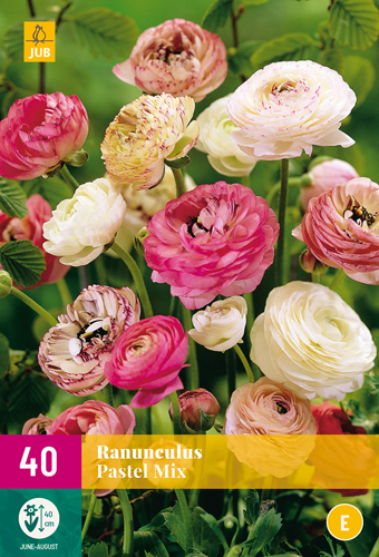 RANUNCULUS PASTEL MIX 40 ks