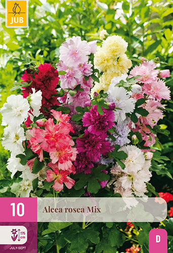 ALCEA ROSEA MIX - 10 ks