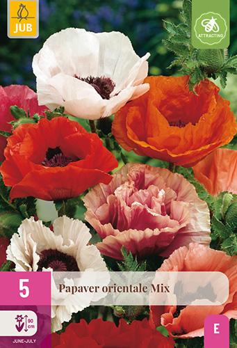 PAPAVER ORIENTALE MIX - 5 ks