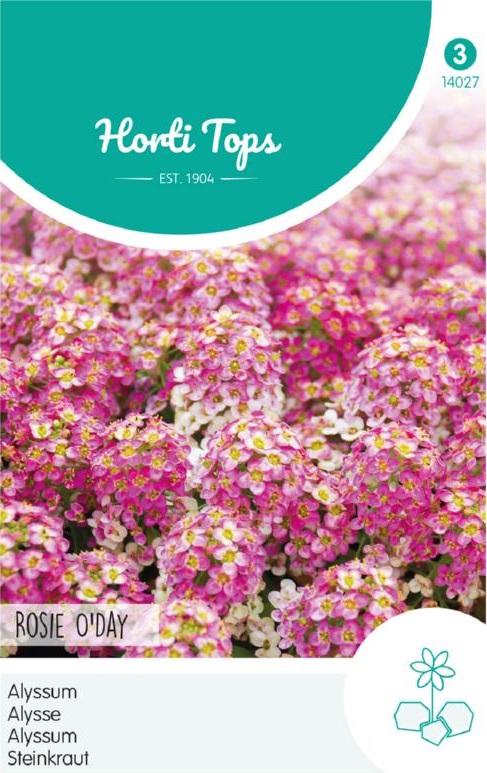 Alyssum (Lobularia maritima) Rosie O Day cca 0,5 g semien