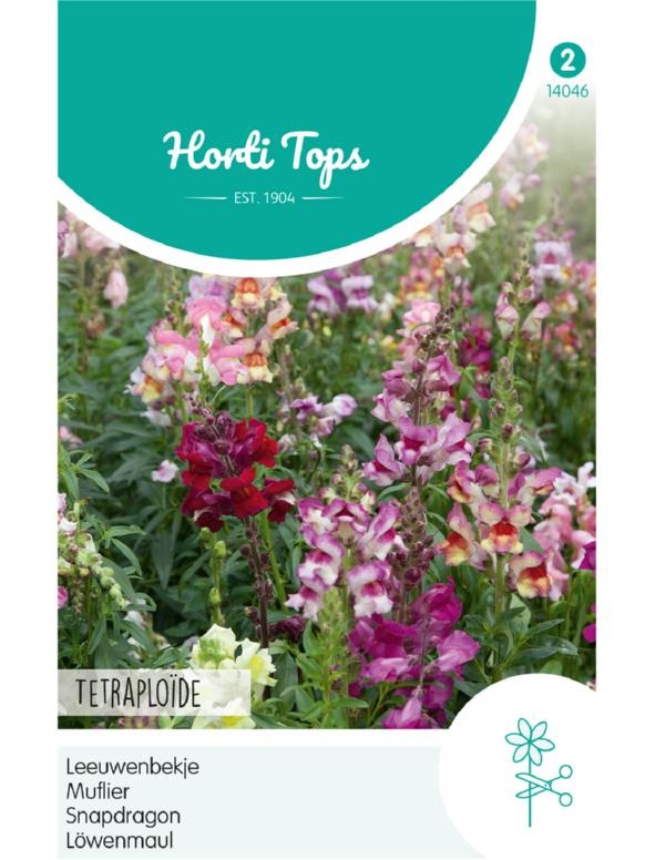 Antirrhinum majus (Papuľka) Tetraploid mix 0,5g
