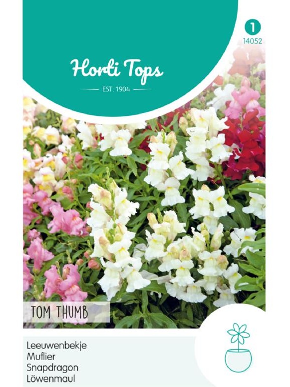 Antirrhinum majus (Papuľka) pumilum Tom Thumb 0,5g