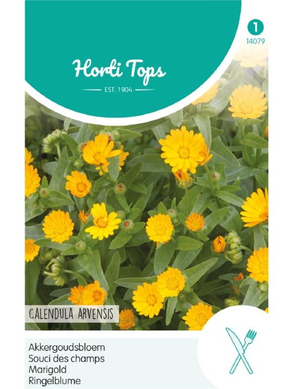 Calendula Arvensis (Nechtík roľný) cca 2 g semien
