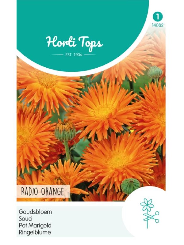 Calendula officinalis (Nechtík lekársky) Radio Orange Quilled, cca. 2 g