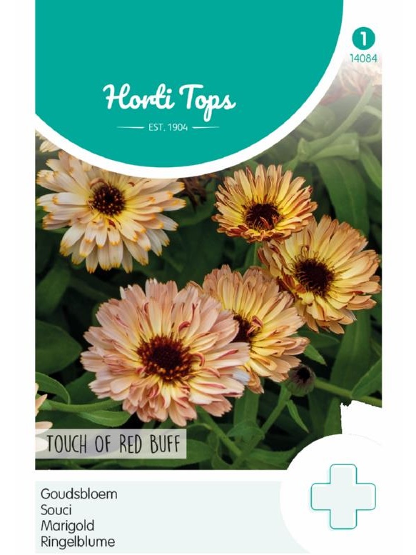 nechtík, semená nechtíku, marhulový nechtík