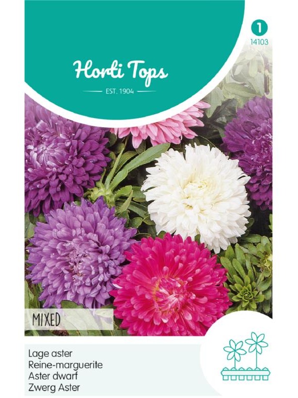 Callistephus chinensis (Astra čínska) Dwarf mix cca 0,75 g semien