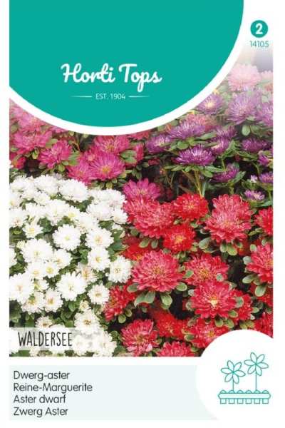 Callistephus chinensis (Astra čínska) zmes farieb nízke Walderesee cca 0,4 g semien