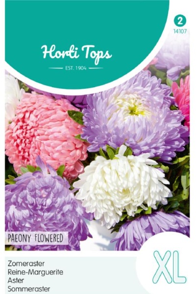 Callistephus chinensis (Astra čínska) zmes farieb cca 0,75 g semien