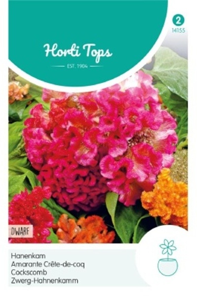 Celosia argentea cristata (Plamenník) cca 0,5 g semien