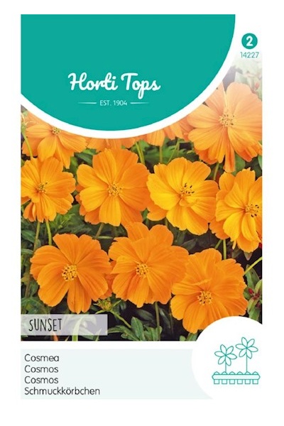 Cosmos sulphureus, Sunset Orange, Krasuľka žltá cca 1g