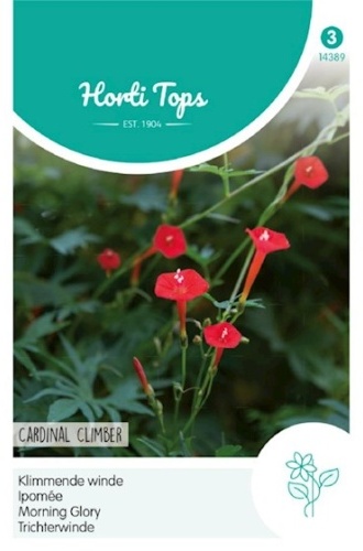 Ipomoea quamoclit, Povojník, Climber Vine Cardinal cca 1,5 g semien