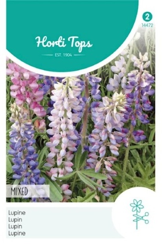 Lupinus Hartwegii Giant Flwd Mixed cca. 2 g semien
