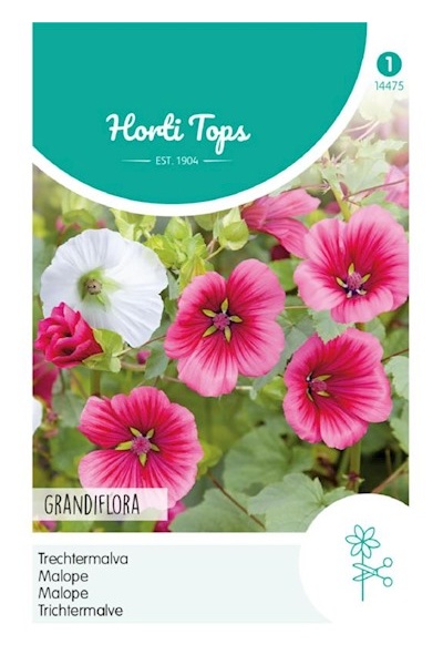 Malope trifida, Slezovka trojklanná, Veľkokvetá es cca 2 g