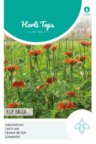 Semená Dagga,  semená Leonotis nepetifolia,  Lion’s ear,  - Klip Dagga,