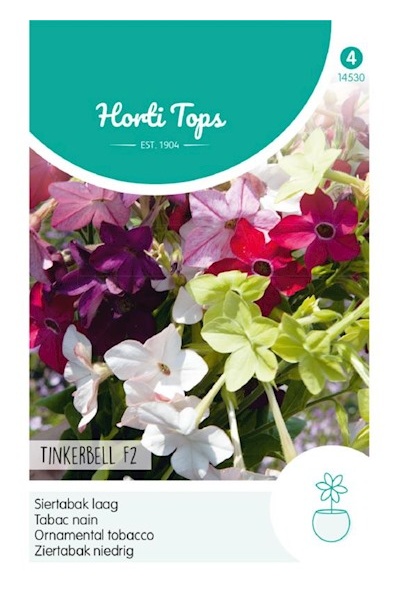 Nicotiana Nana Tinkerbell F2, Okrasný tabak zmes cca. 0,1 g