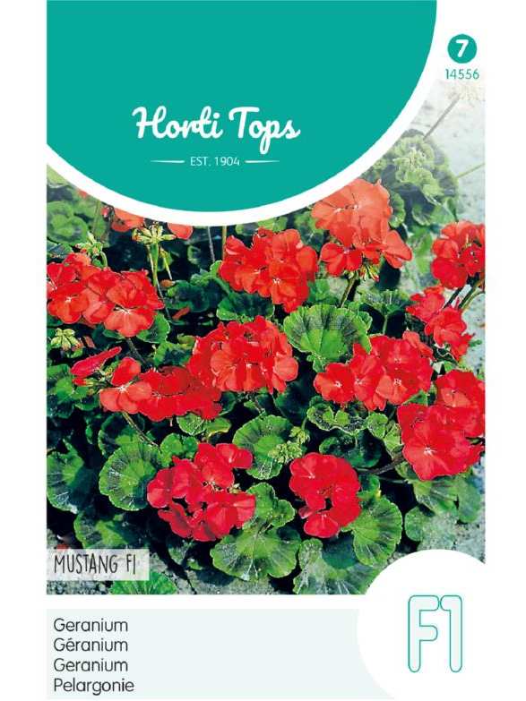 Pelargonium (muškát) Mustang F1 cca 10 semien
