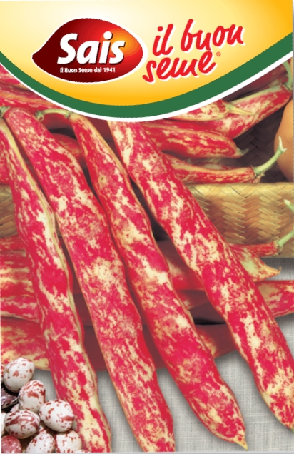 Fazula žltocervená Etna (Seminis)