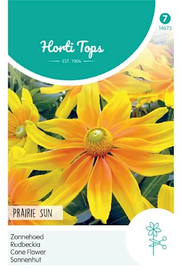 Rudbeckia hirta, Prairie Sun cca 45 semien