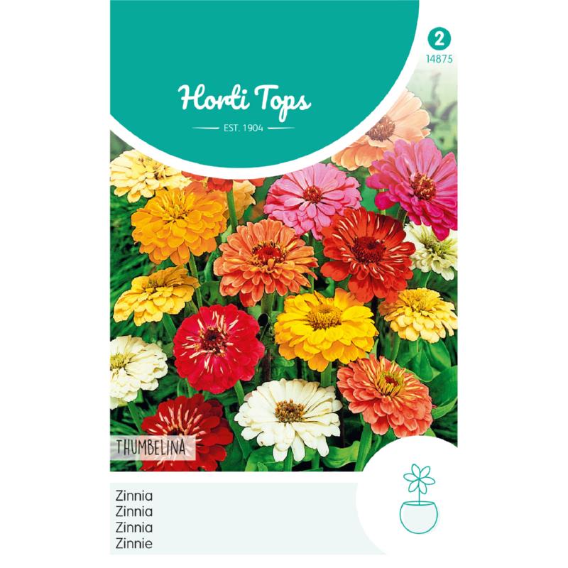 Zinnia elegans Thumbelina mix 0,75g