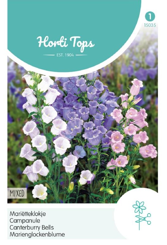 Campanula medium mix cca 0,25g