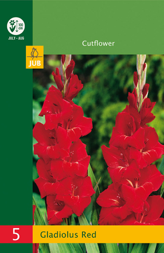 GLADIOLY RED LB - 5 ks