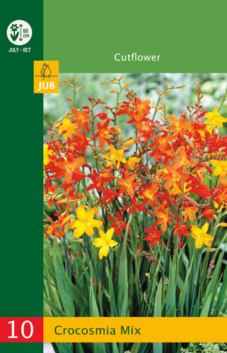CROCOSMIA (MONTBRÉCIA) MIX LB - 10 ks