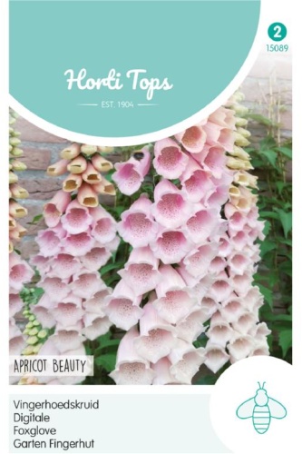 Digitalis Apricot Beauty cca 0,5 g