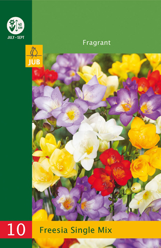 FRÉZIA SINGLE MIX LB - 10 ks