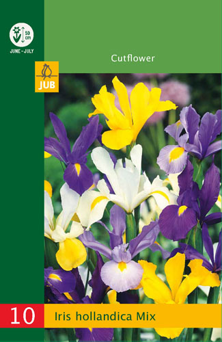 IRIS (KOSATEC) HOLLANDICA MIX LB - 10 ks
