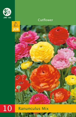 Ranunculus Mix Budget line - 10 ks