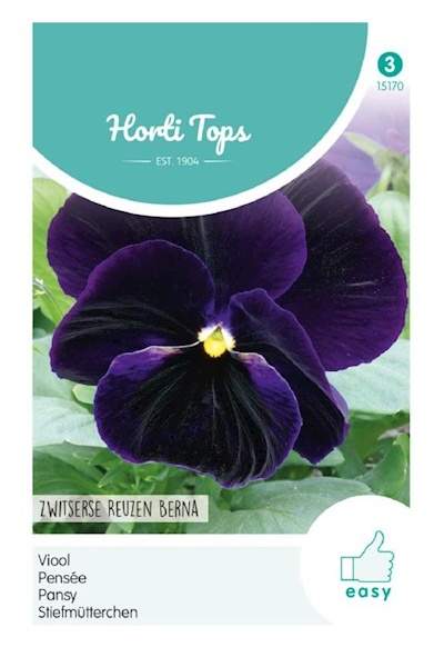 Viola wittrockiana, Swiss Giants Berna  cca 0,4 g