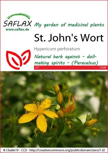 Semená Ľubovník bodkovaný, Hypericum perforatum cca 300 semien