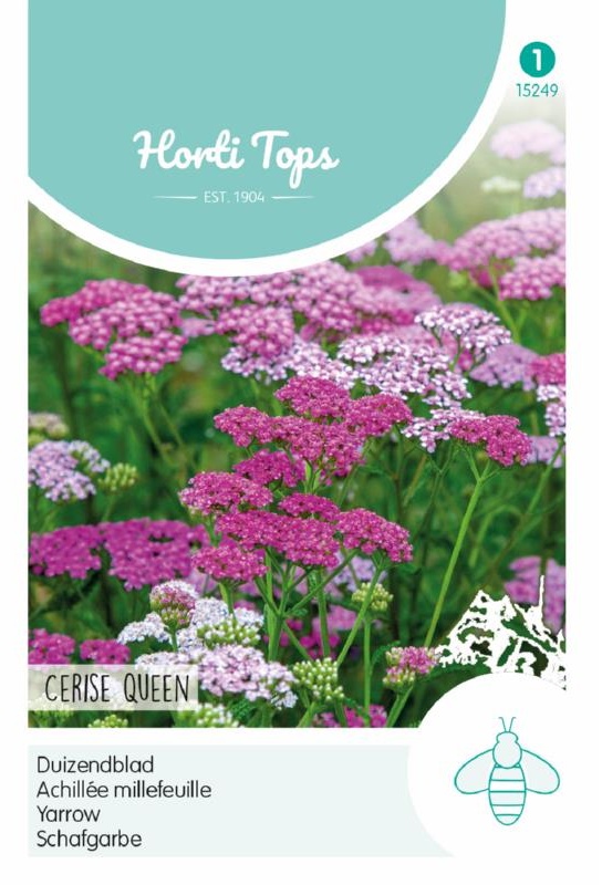 Ružový rebrícek, semená ružového rebrícka, ahillea semená, ružová achillea,