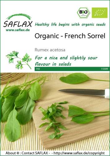 BIO semená Šťavel (Rumex acetosa) cca 400 semien