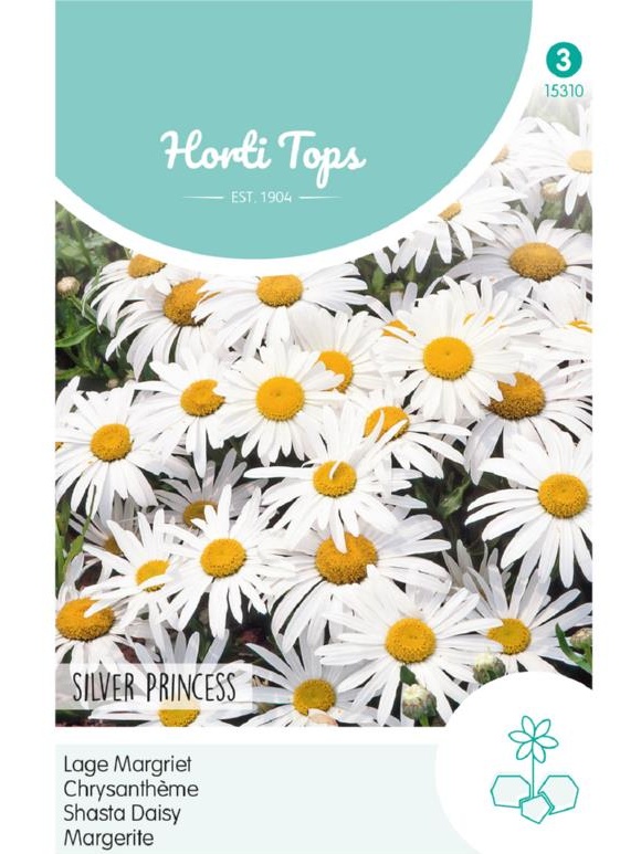 Chrysanthemum maximum Silver Princess, cca 0,5g