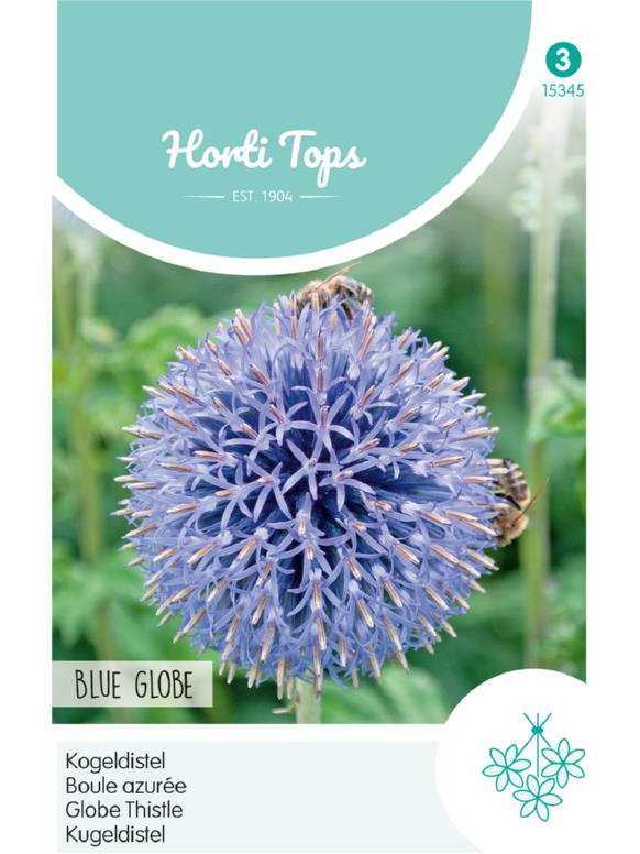 Echinops ritro, Ježibaba belasá Blue Globe cca 0,5 g