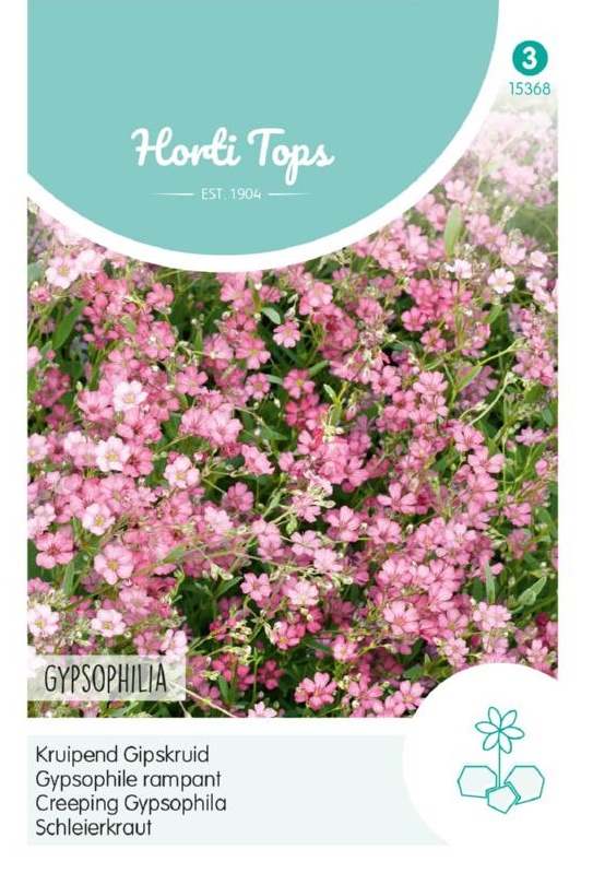 Gypsophila repens Creeping Baby's Breath cca 0,25 g