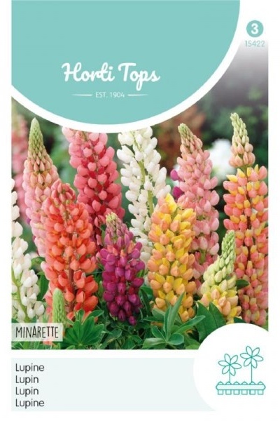 Lupina mnoholistá  Lupinus polyphyllus Minarette zmes cca 1,5 g semien