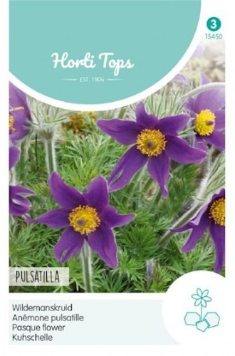Pulsatilla vulgaris, Poniklec obyčajný Violet-Blue cca 0,1 g